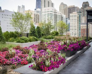 Flower garden on the amenity deck of a completed Magellan real estate development site in downtown Chicago.